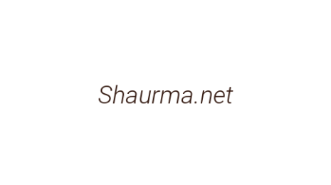 Логотип компании Shaurma.net