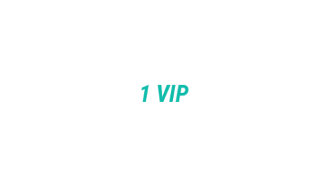 Логотип компании 1 VIP