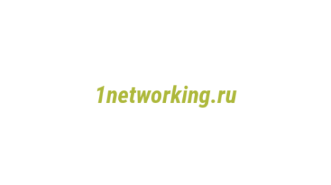 Логотип компании 1networking.ru