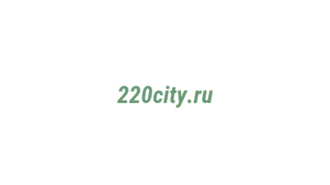 Логотип компании 220city.ru