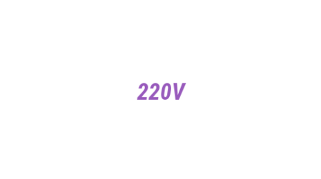 Логотип компании 220V