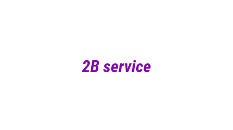 Логотип компании 2B service