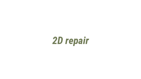 Логотип компании 2D repair