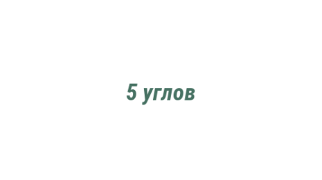 Логотип компании 5 углов