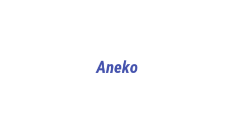 Логотип компании Aneko