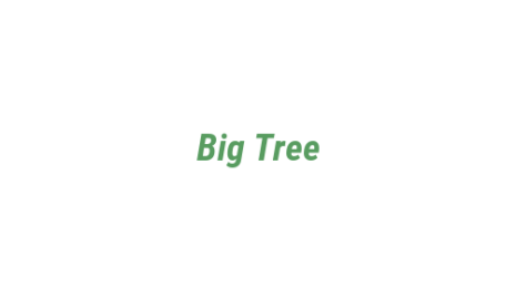 Логотип компании Big Tree