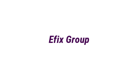 Логотип компании Efix Group