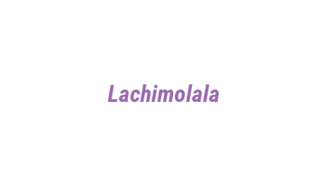 Логотип компании Lachimolala